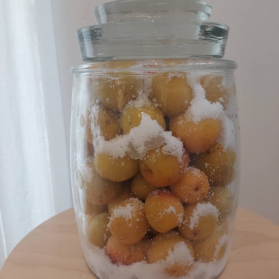 完熟南高梅　梅干し　ガラス瓶