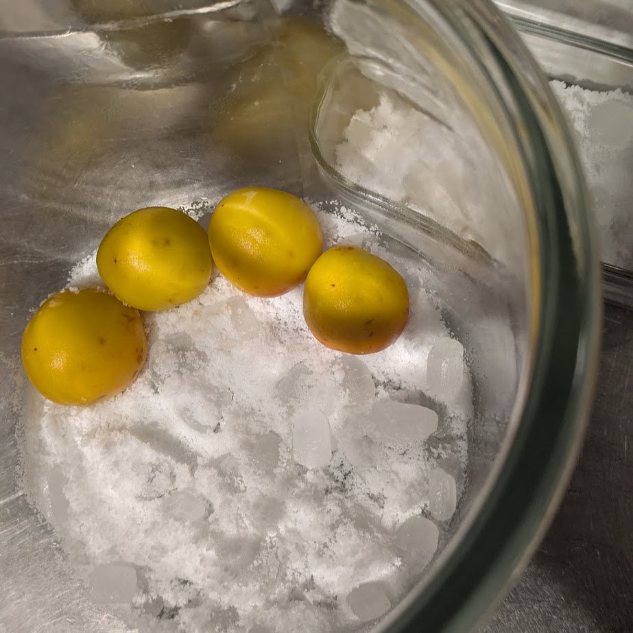 梅干し　塩と交互に入れる　栗原はるみ