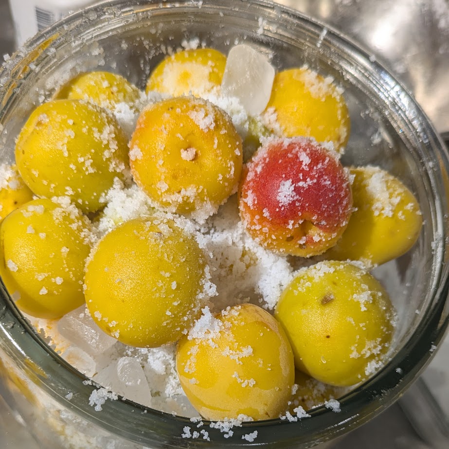 梅干し　重ねる　つける