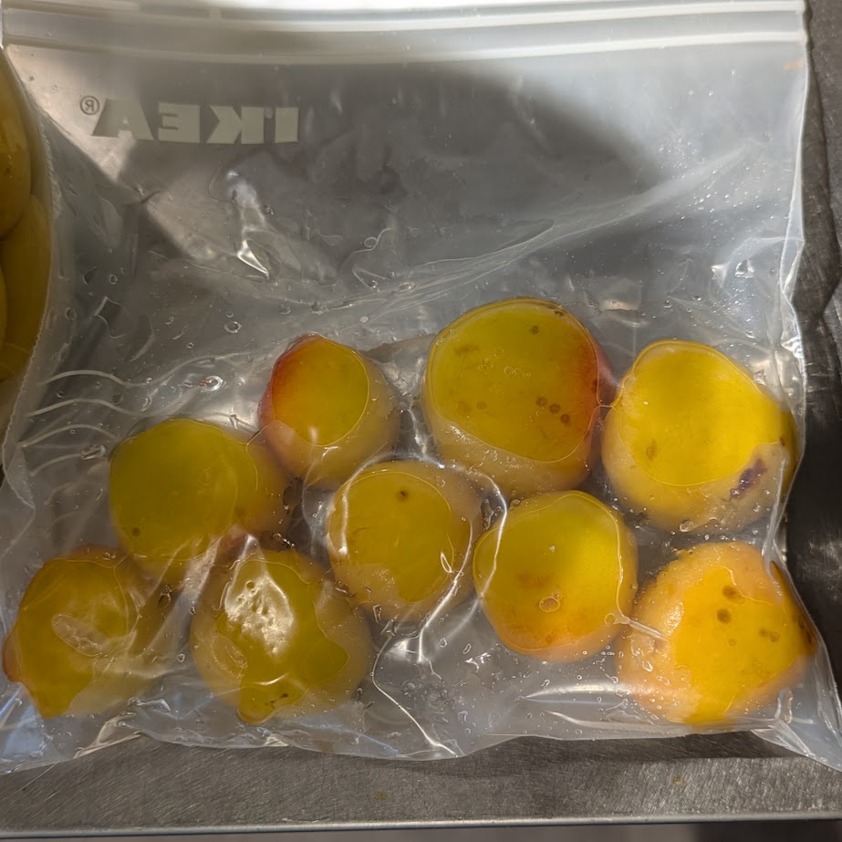 ジッパー付き保存袋　梅干し　南高梅