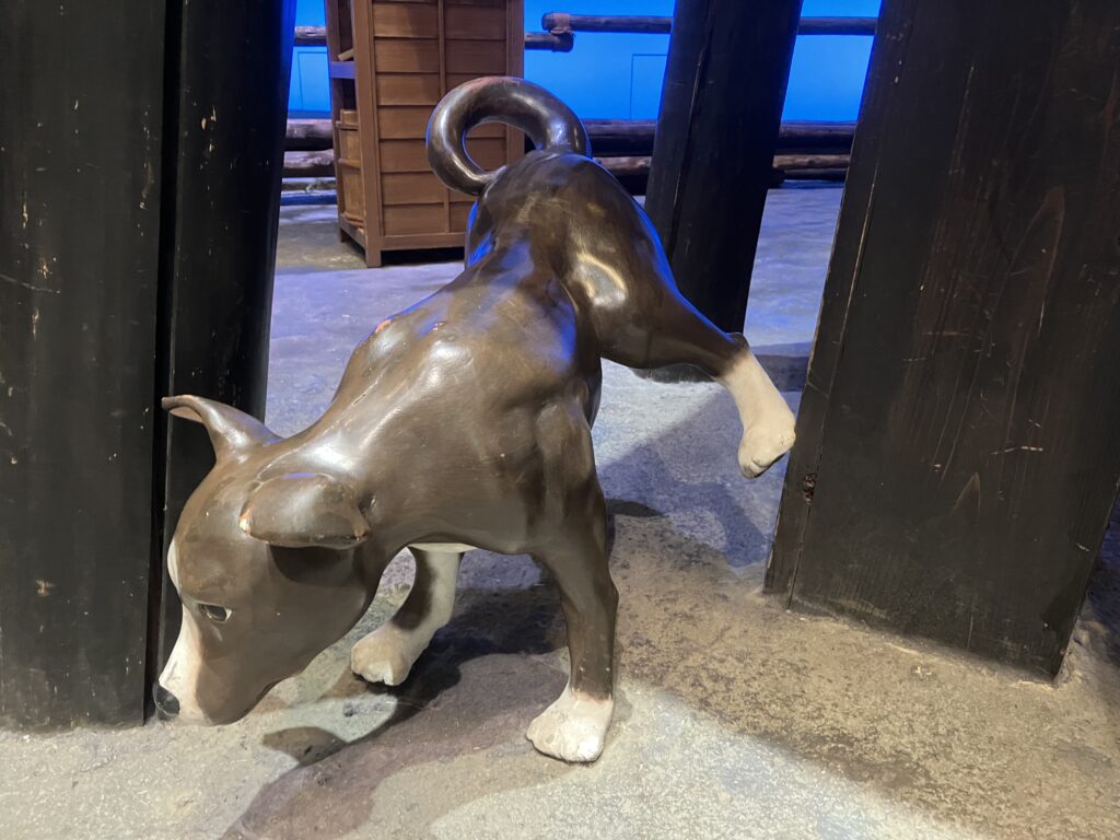 深川江戸資料館
犬