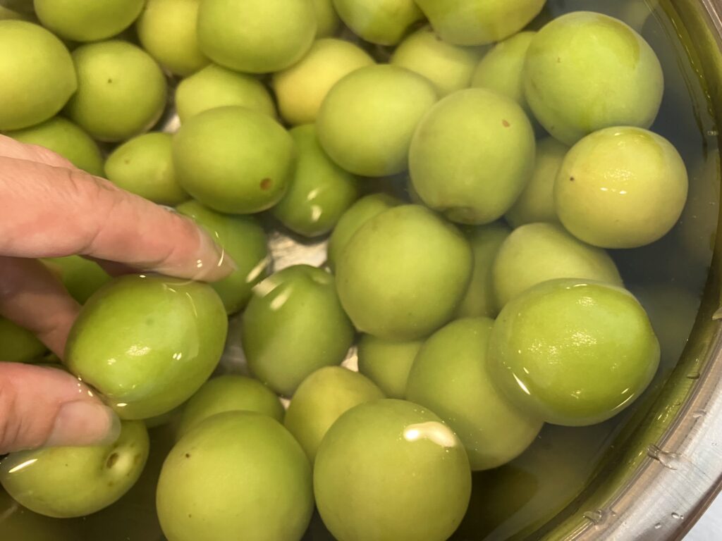 梅しごと
梅洗う
梅シロップ