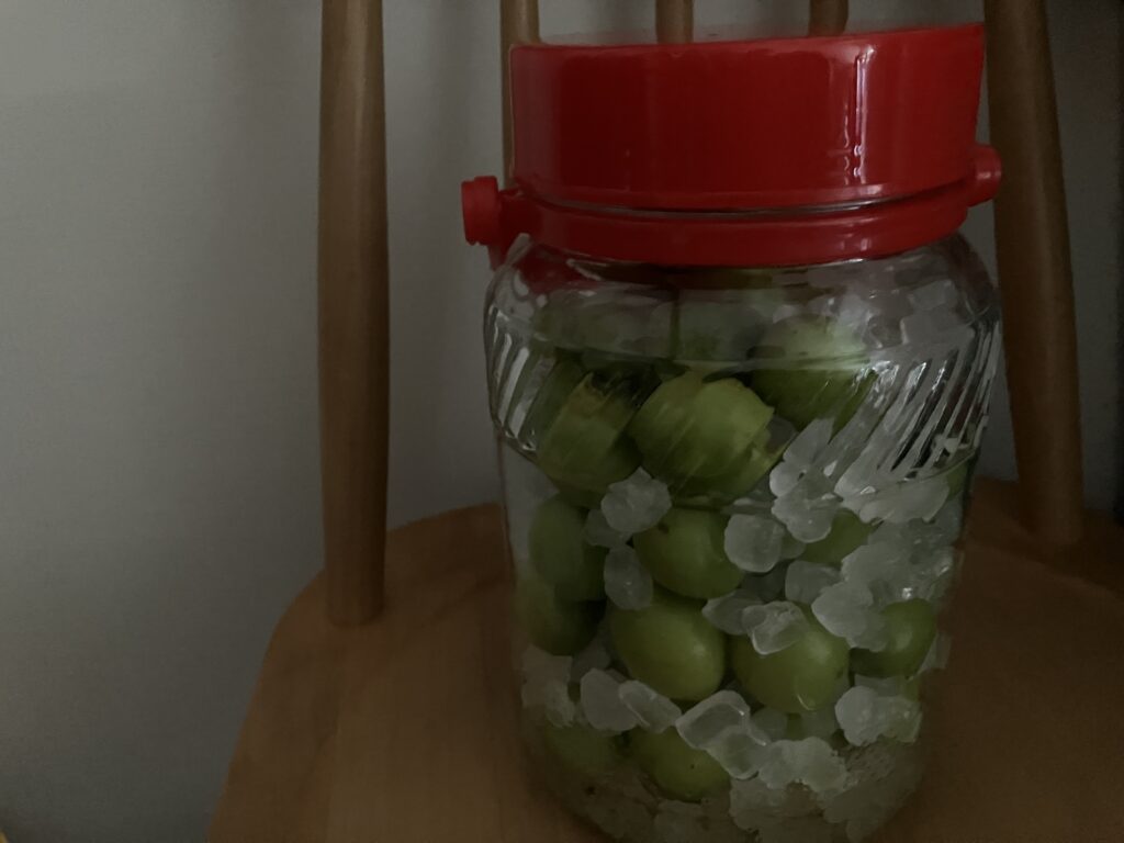 梅しごと
冷暗所
梅シロップ