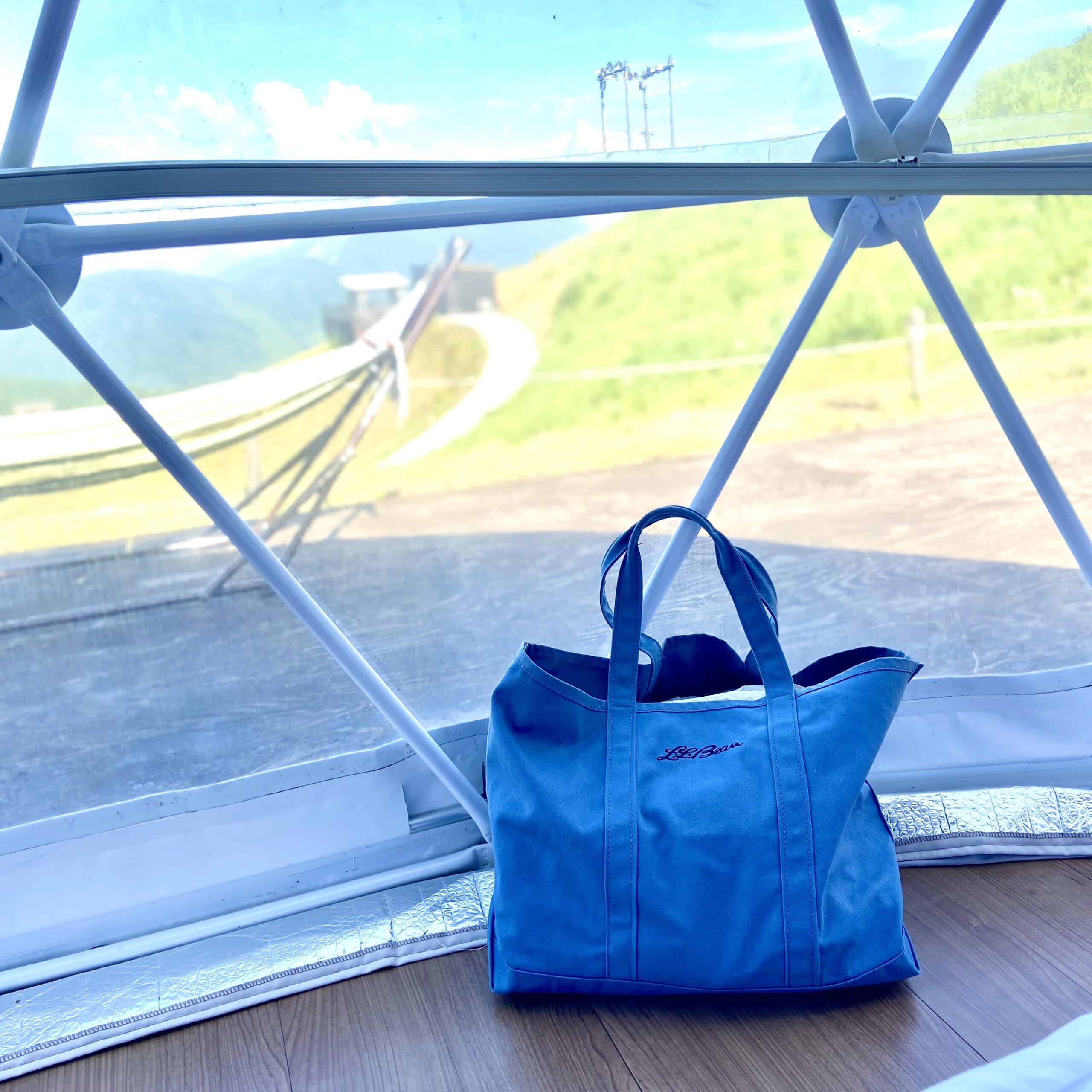 エルエルビーン　グローサリートート