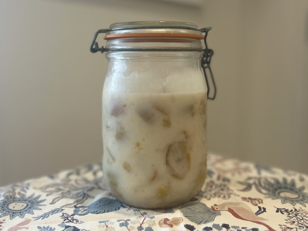 【梅仕事】傷んだ梅の使い道を考える①梅の塩こうじ TB icoco