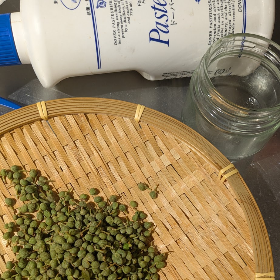 実山椒　醤油漬け山椒　仕込み