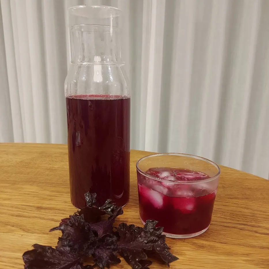 クエン酸で「赤しそジュース」作り　完成品