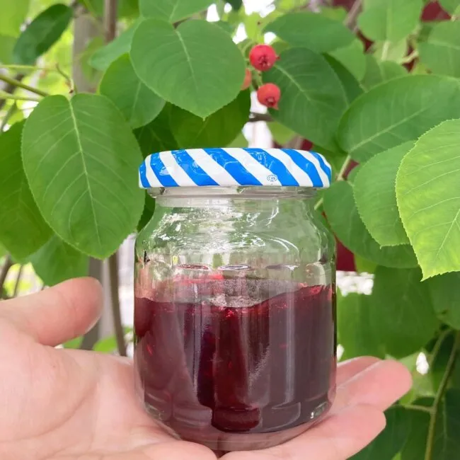 「ジューンベリージャム」作り　完成品