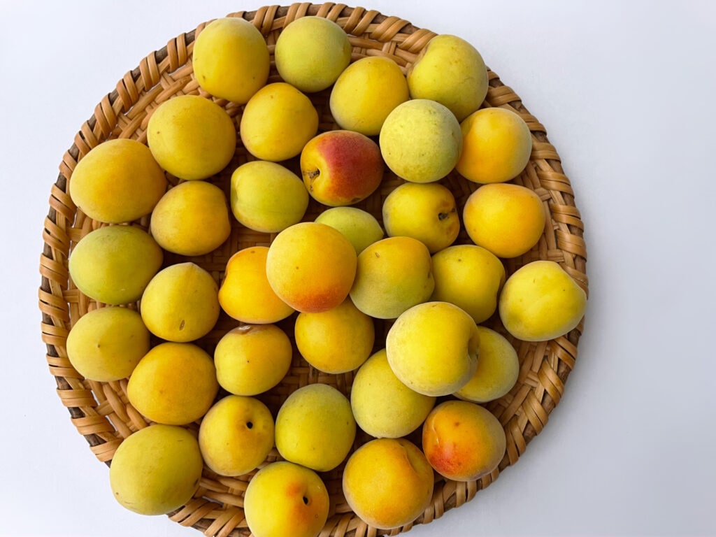 2025年の南高梅の写真。奥州またたびざるの上にのせている。