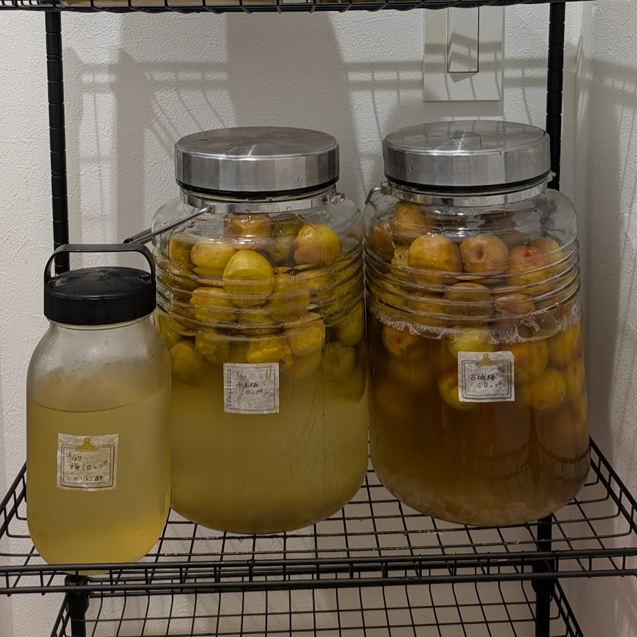 梅仕事　梅シロップ　パントリー棚