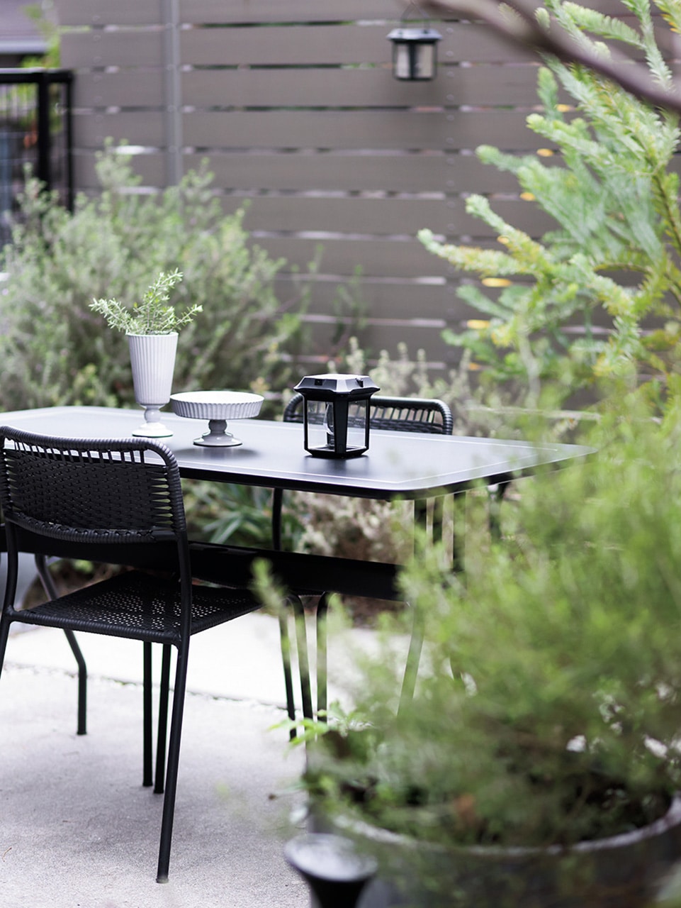 内田彩仍さんの自宅の庭