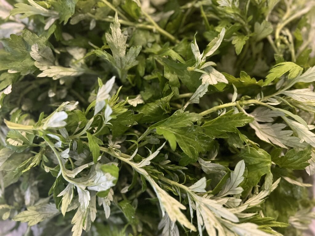 おうちでよもぎ蒸し①ハーブを準備する TB icoco