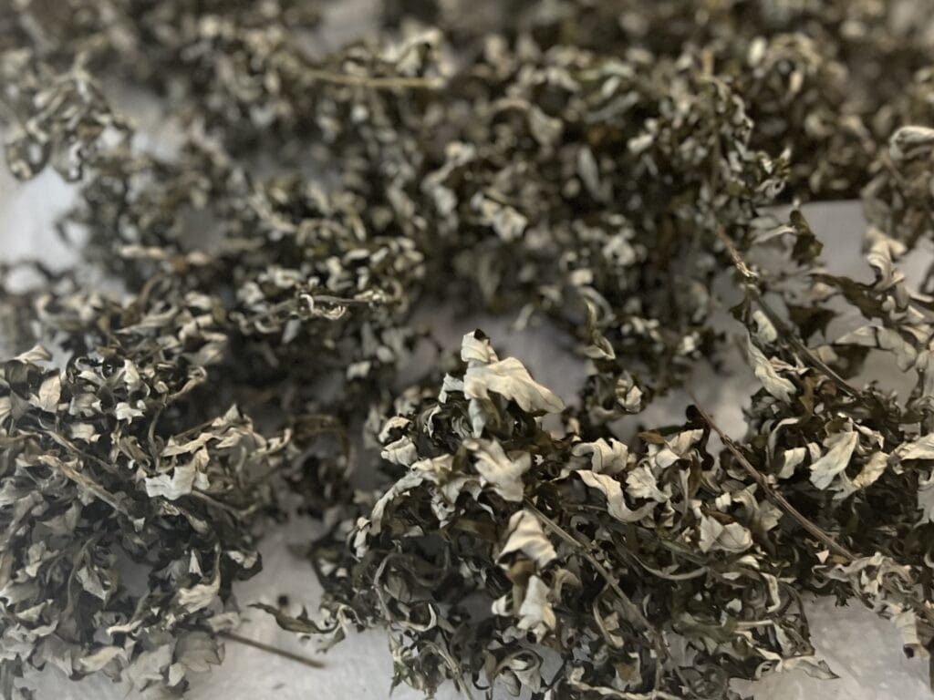 おうちでよもぎ蒸し①ハーブを準備する TB icoco