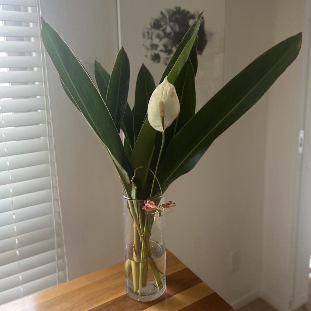 おうちでよもぎ蒸し①ハーブを準備する TB icoco