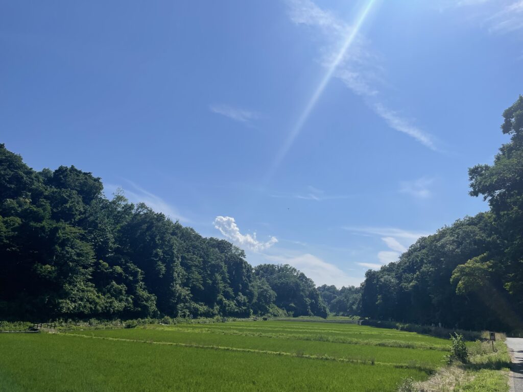 神奈川県横浜市の北エリア、寺家ふるさと村の玄関口、里山の風景。2025年6月撮影。