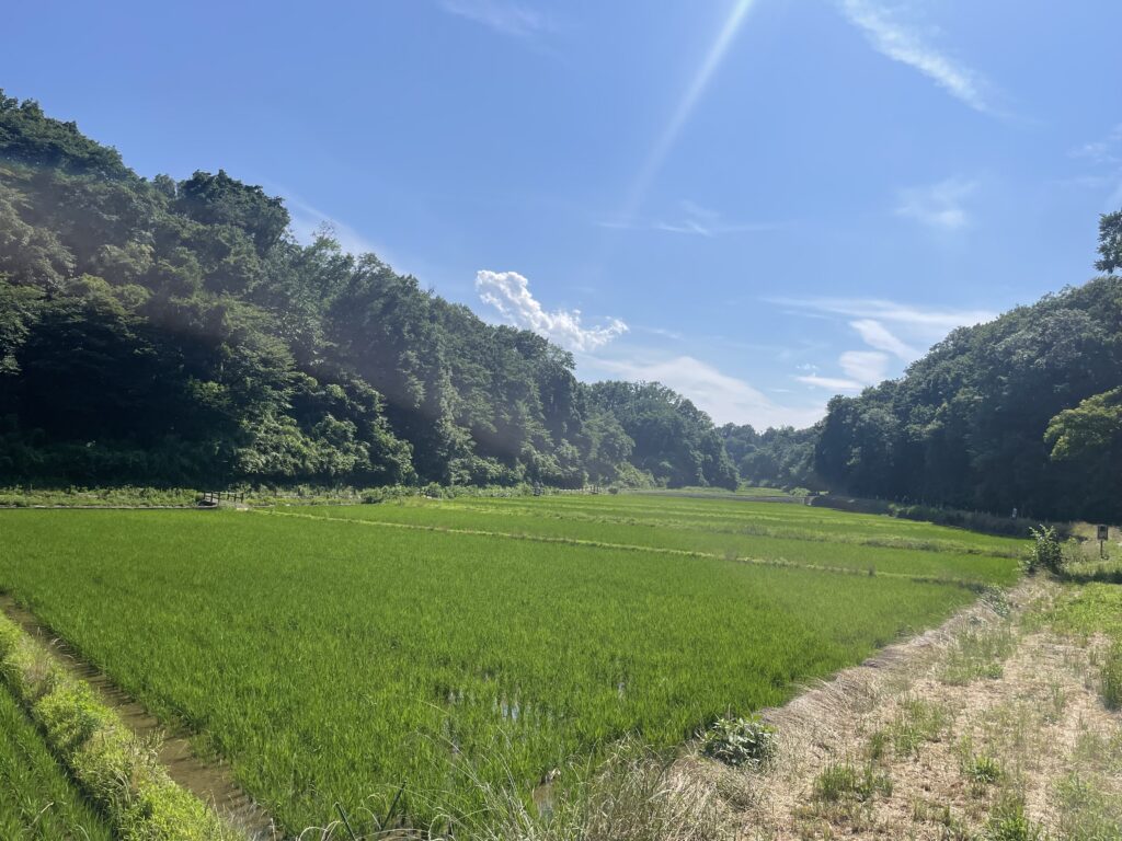 寺家ふるさと村の入口。2025年6月撮影。