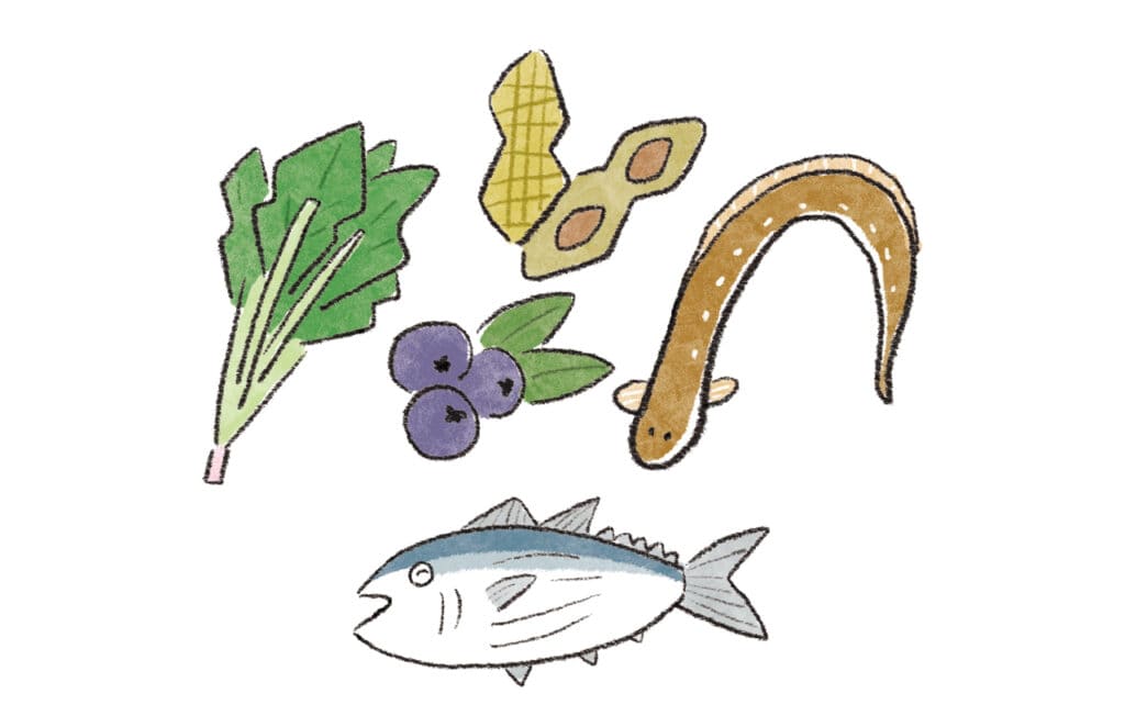 カツオ、アナゴ、ベリー類、ほうれん草、にんじん、ピーナッツ（落花生）