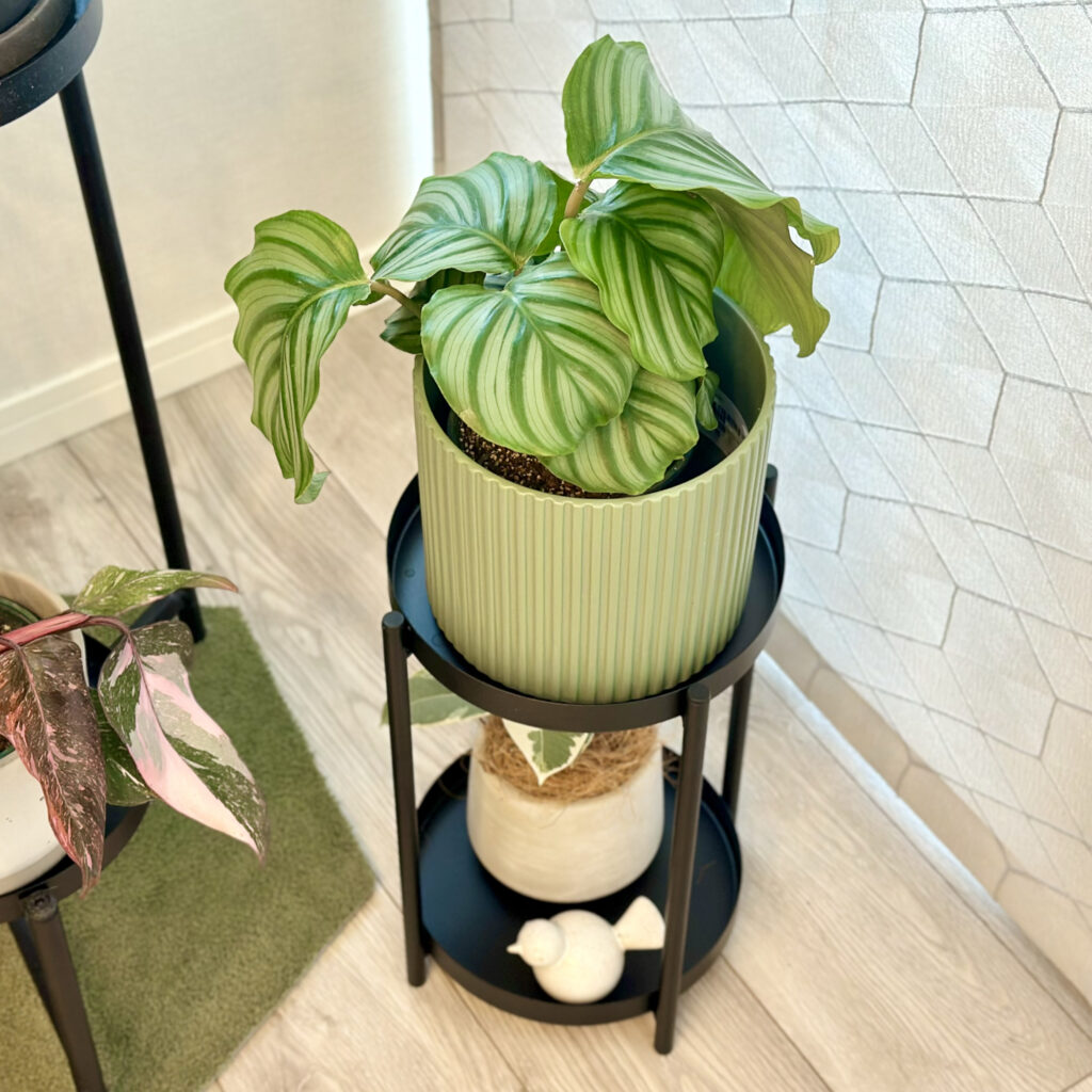 KEA（イケア）の鉢スタンド　オリブブラード