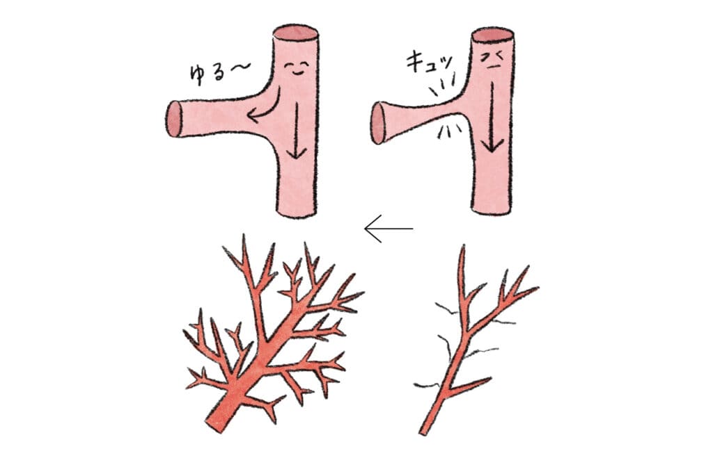 加齢とともに減っていく「毛細血管」を増やして血流アップ！