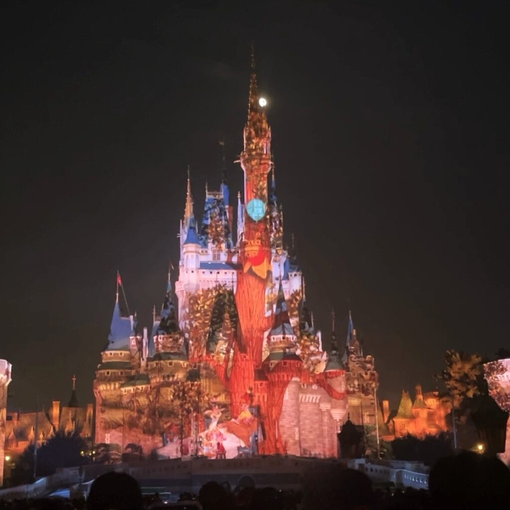 ディズニーランド キャッスルショー リーチフォーザスターズ