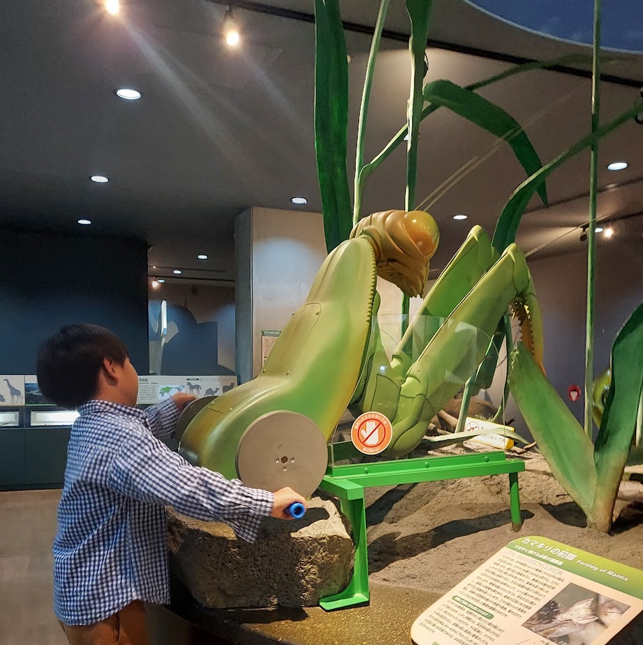 橿原昆虫館　奈良　子供