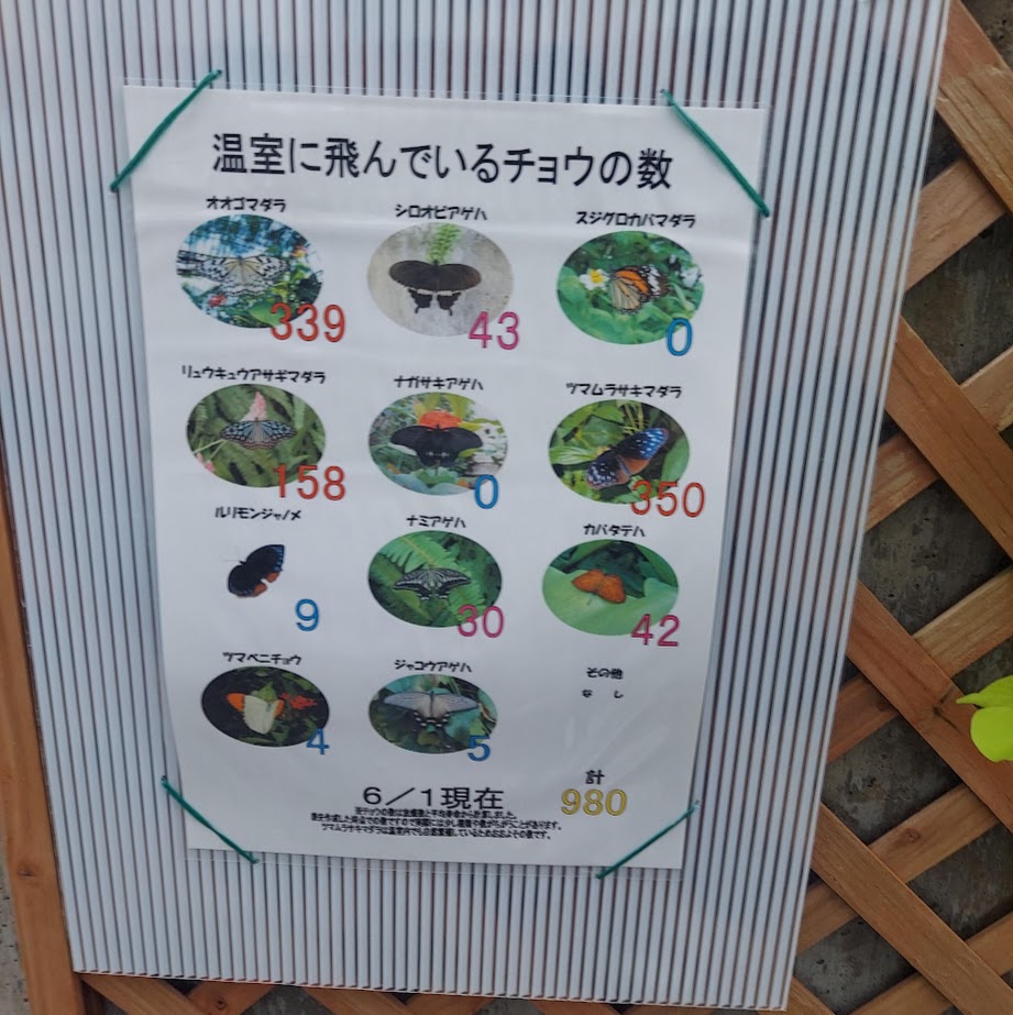 温室　奈良昆虫館　橿原