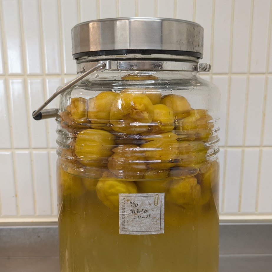 南高梅シロップ　その後　梅仕事