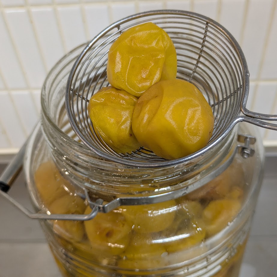 ふっくら南高梅　梅仕事　甘露煮