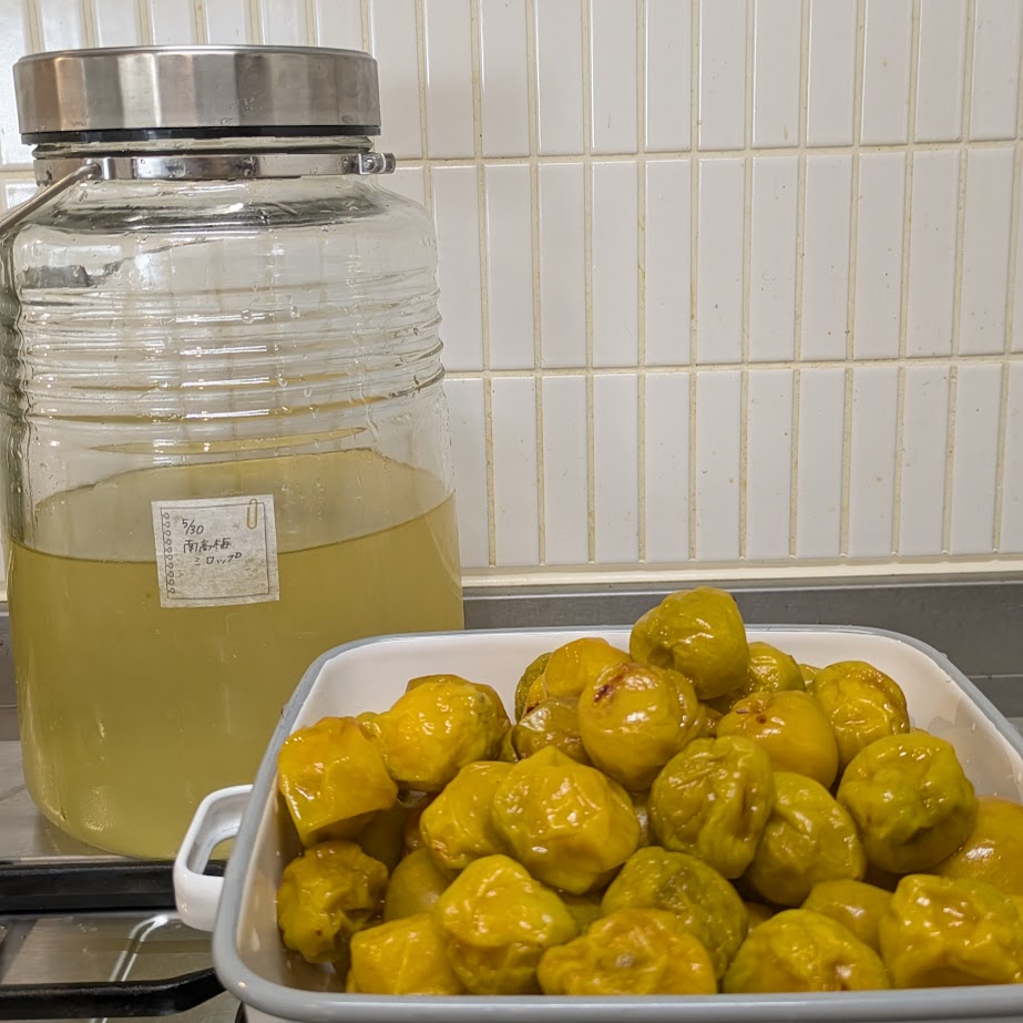 しわしわ梅　復活　梅仕事