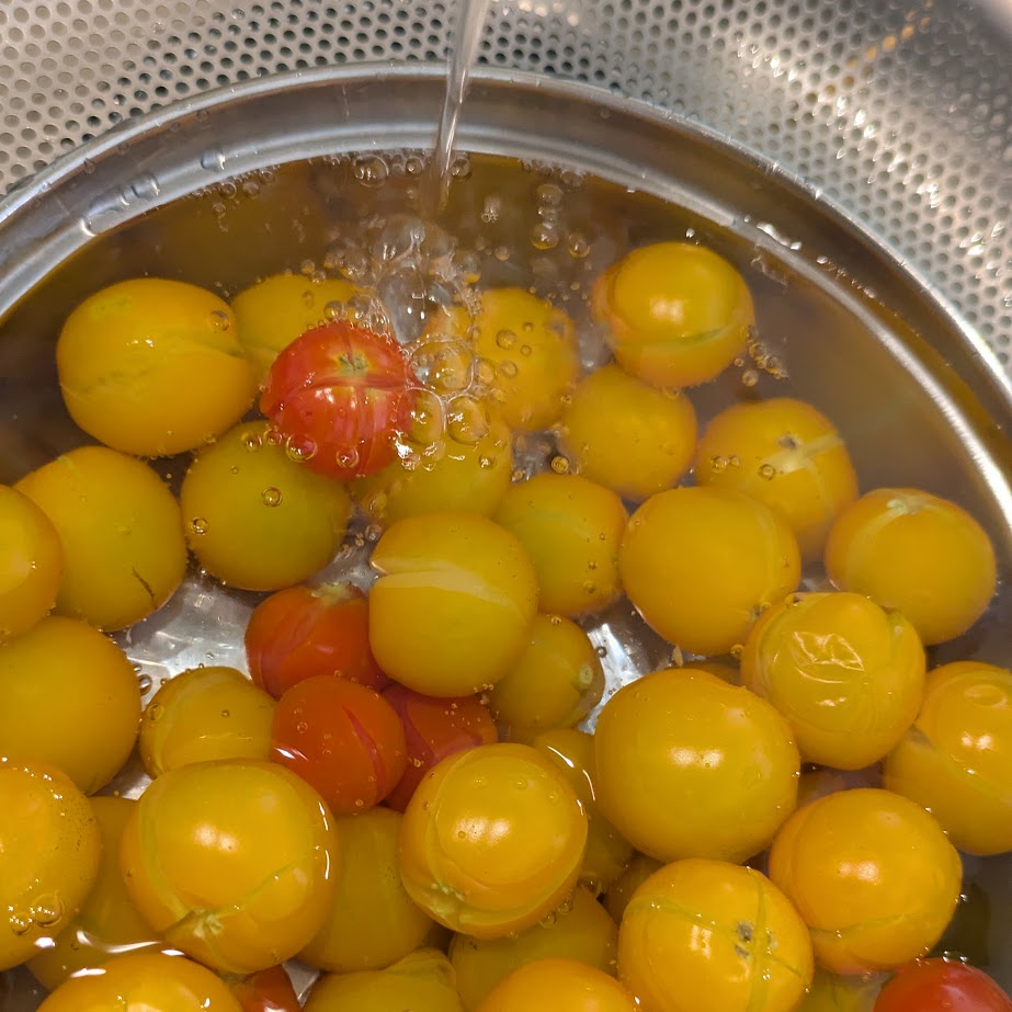 家庭菜園　ミニトマト　なにつくる？