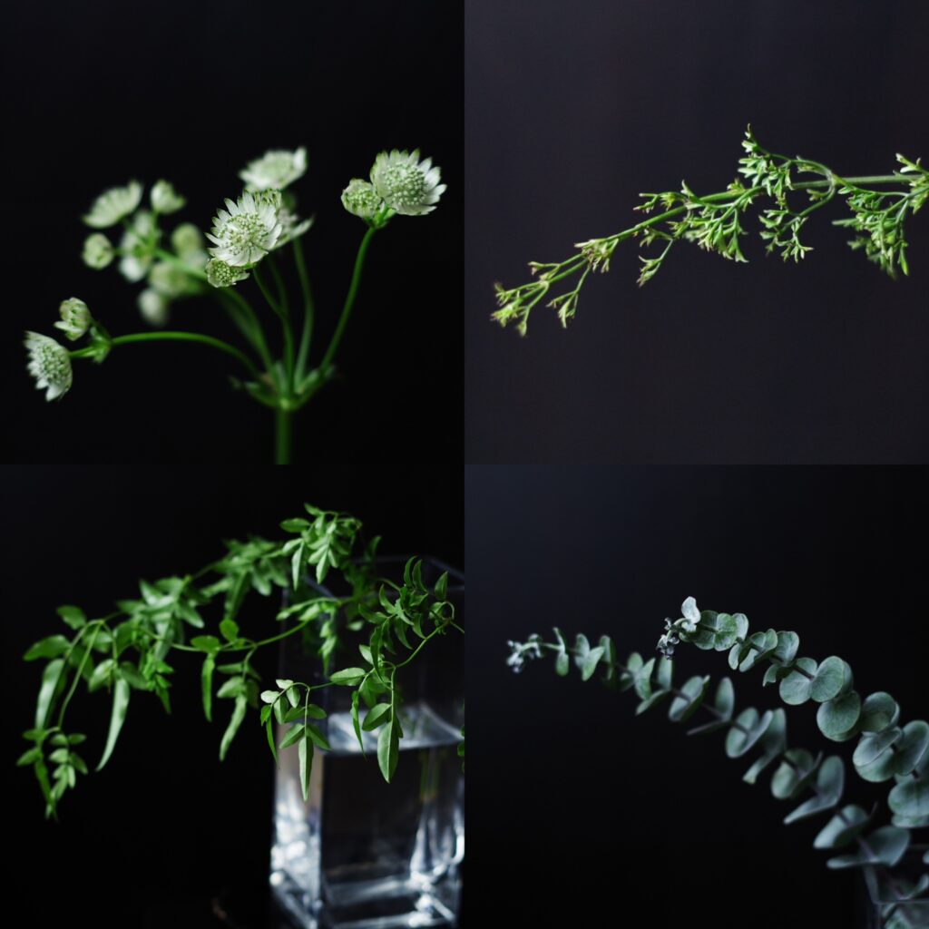 tocoha flower　花屋　京都　大山崎　アストランチャー、クレマチスペトリエイ、ユーカリ、ハゴロモジャスミン