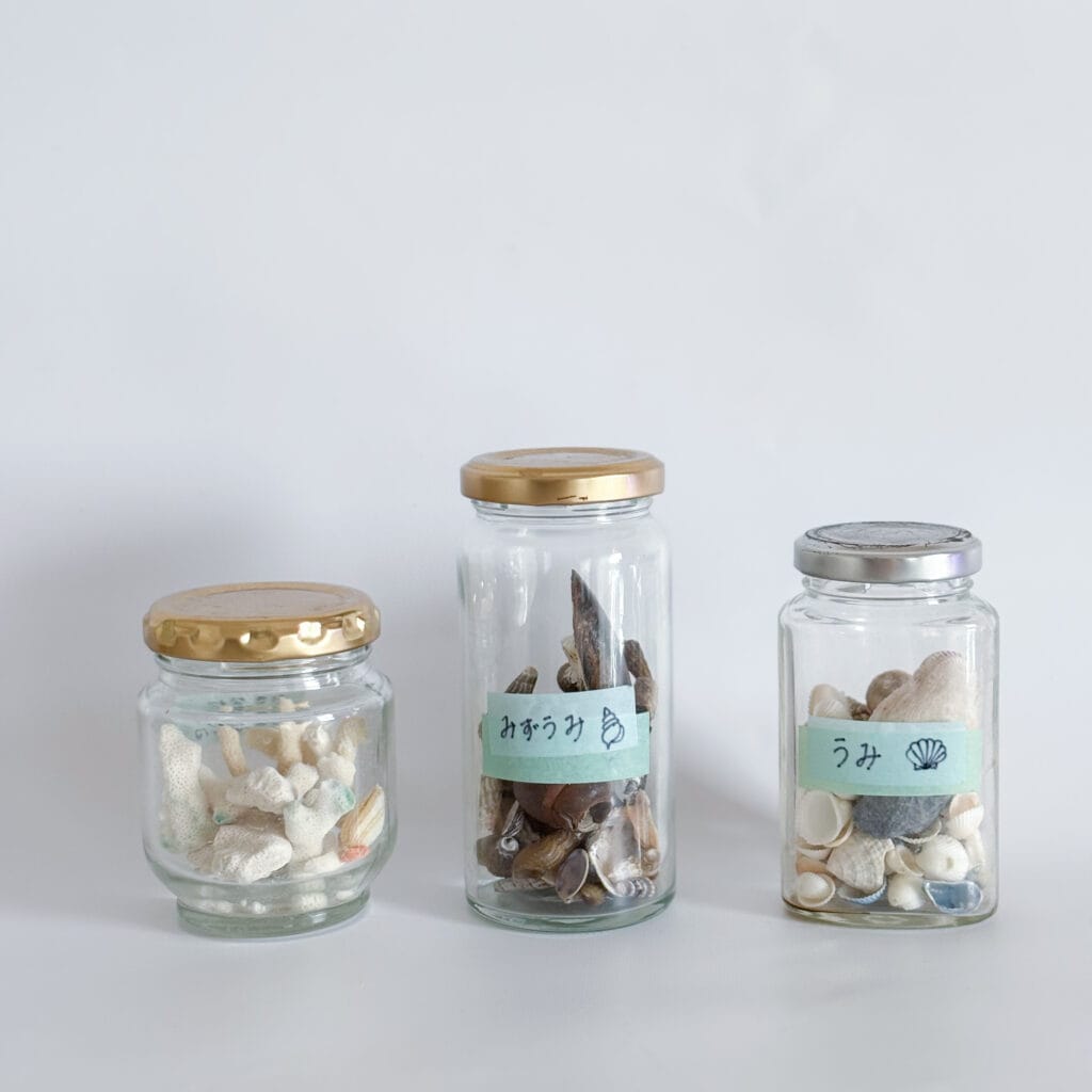 LEE100人隊が拾った貝殻