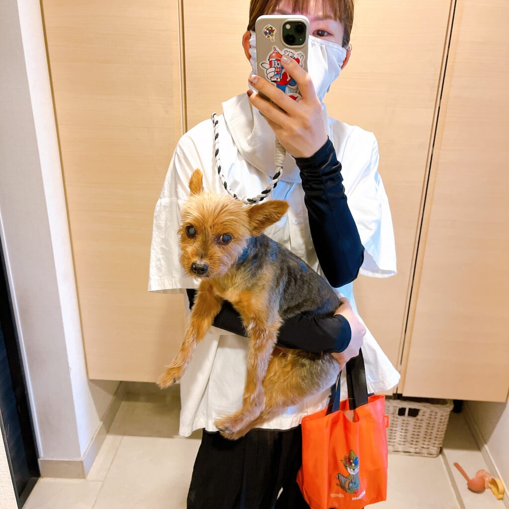 ヤケーヌ　アームカバー