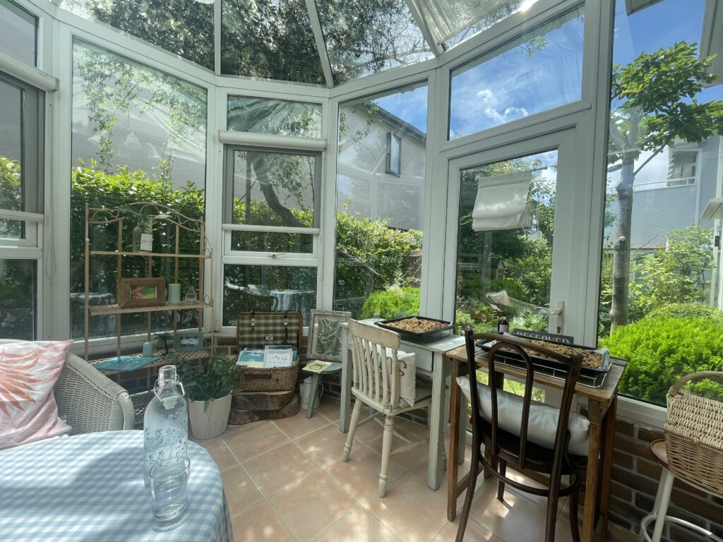 カフェネイビーの店内写真。コンサバトリールーム。2025年7月撮影。