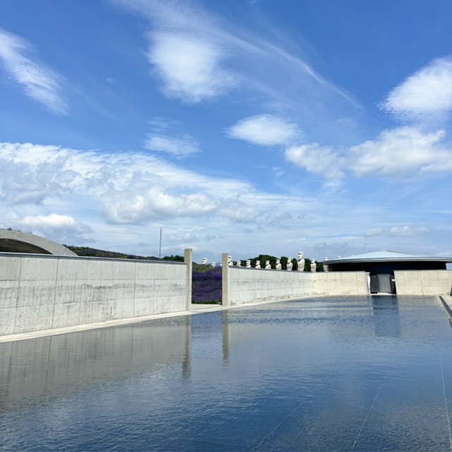 滝野霊園の頭大仏殿までにある水庭の写真