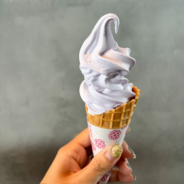 滝野霊園の頭大仏殿にあるロタンダカフェのソフトクリームの写真