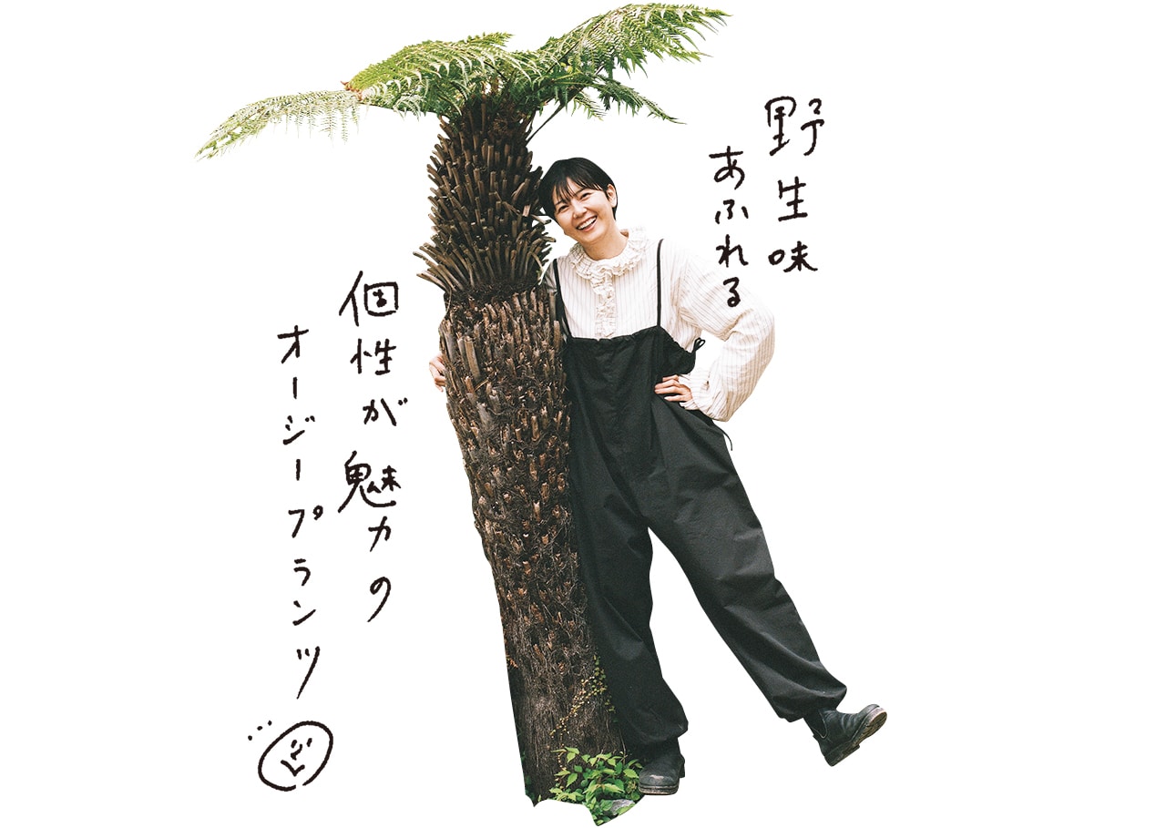 野生味あふれる個性が魅力のオージープランツ