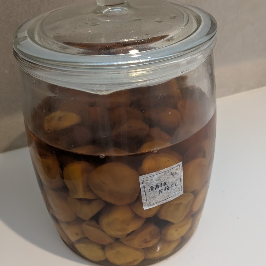 南高梅　白梅　梅仕事