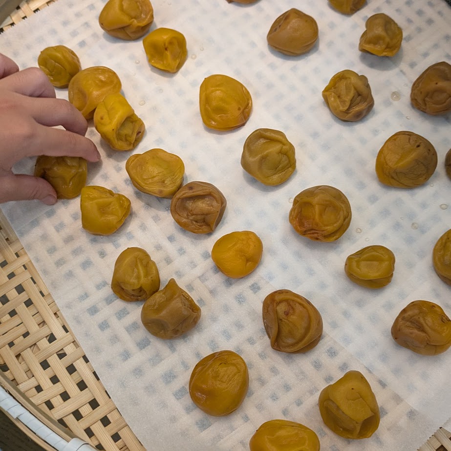 梅干し　梅仕事　季節の手仕事