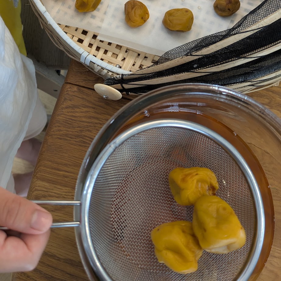梅仕事　食育　梅干しつくり
