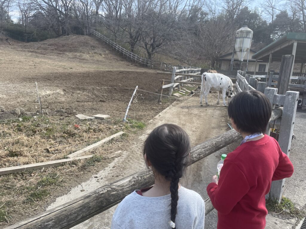 こどもの国牧場、牛を眺める小学生2人の後ろ姿