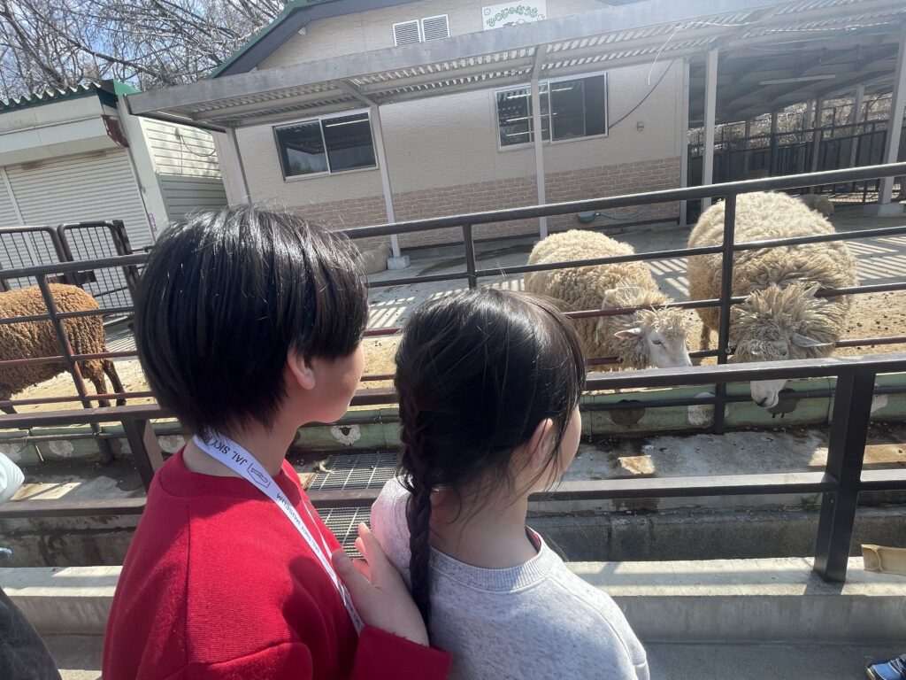 こどもの国牧場の羊を眺める小学生2人の後ろ姿