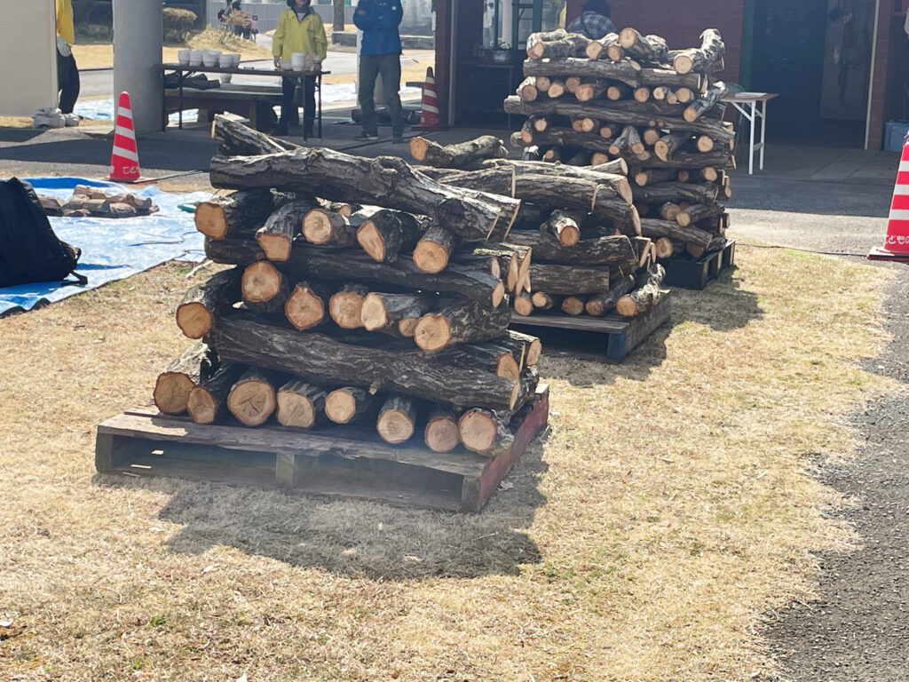 シイタケを作る時の原木（ホダ木）が積まれている様子