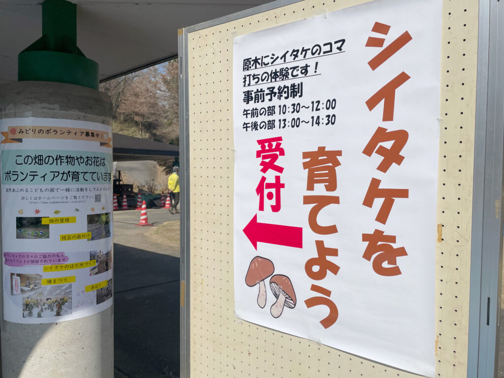 こどもの国で開催された「シイタケを育てよう」ワークショップの様子【写真その2】