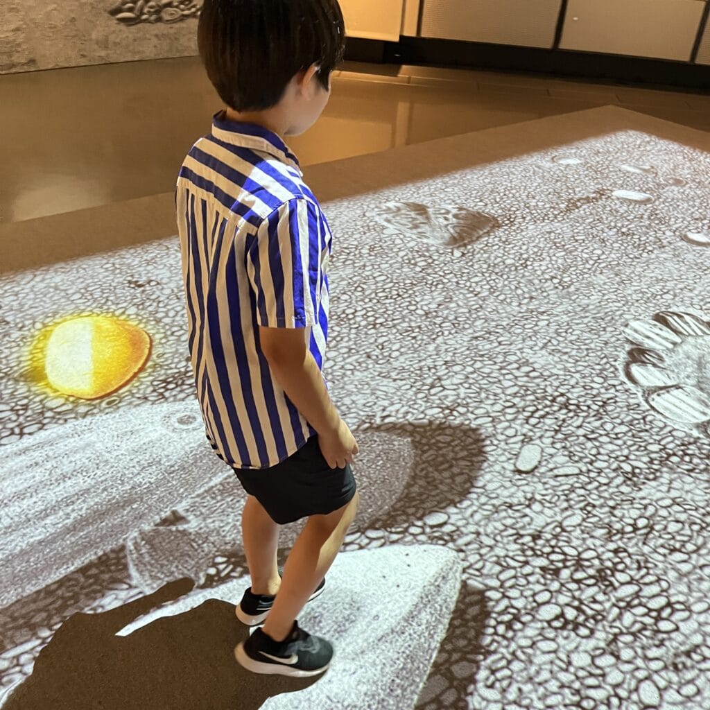 レオ・レオーニの絵本づくり展　フレドリック　スイミー