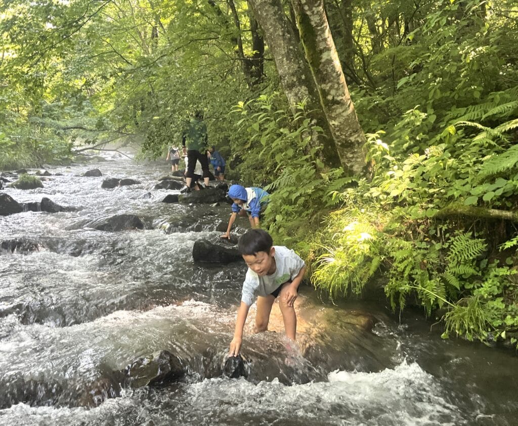 軽井沢ピッキオ