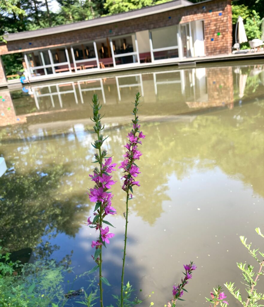 軽井沢ピッキオ