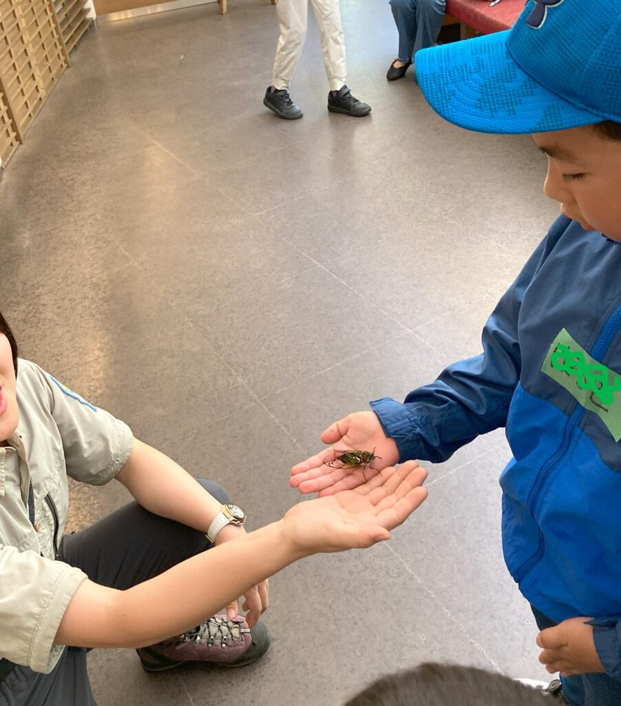 軽井沢ピッキオこども冒険クラブ