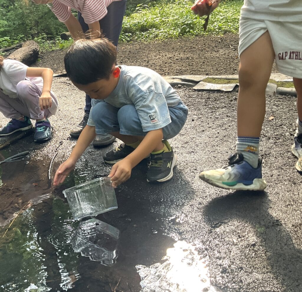 軽井沢ピッキオ