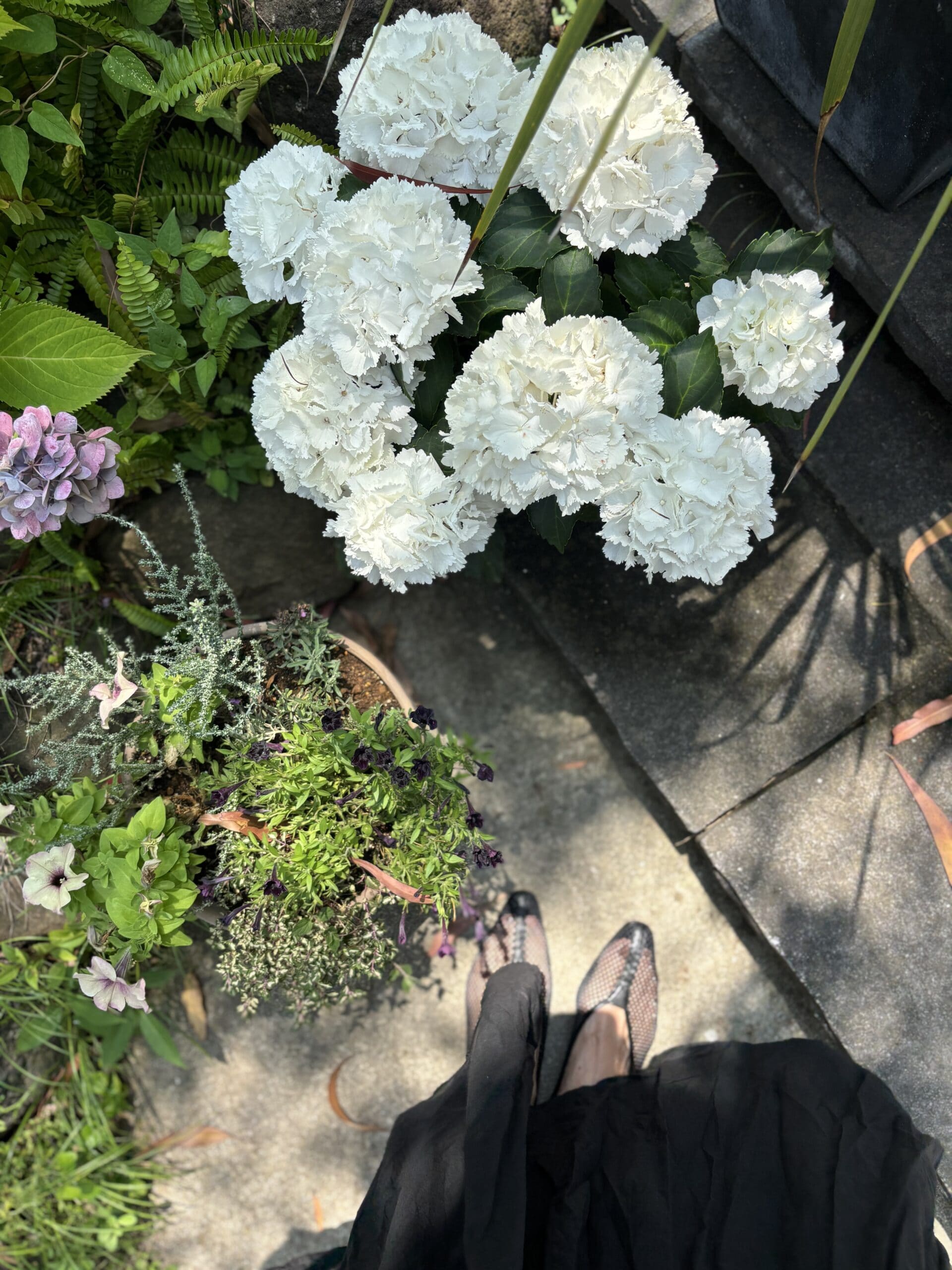 メッシュ素材のパンプス